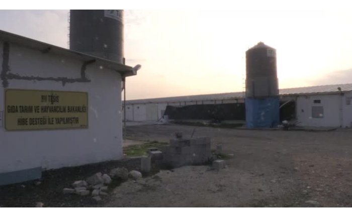 Hayaline-devlet-destegiyle-kavustu-yurt-disina-ihrac-ediyor