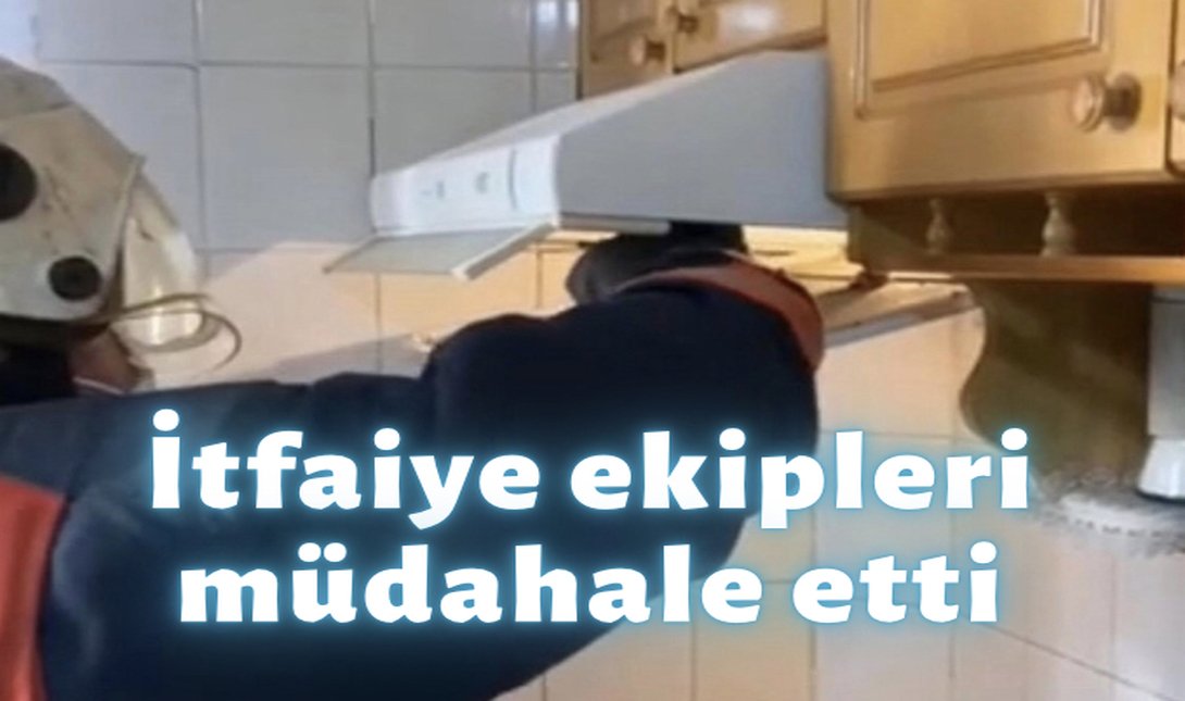 57E44B00-3A4F-444E-A03D-1CDE185FB8DC