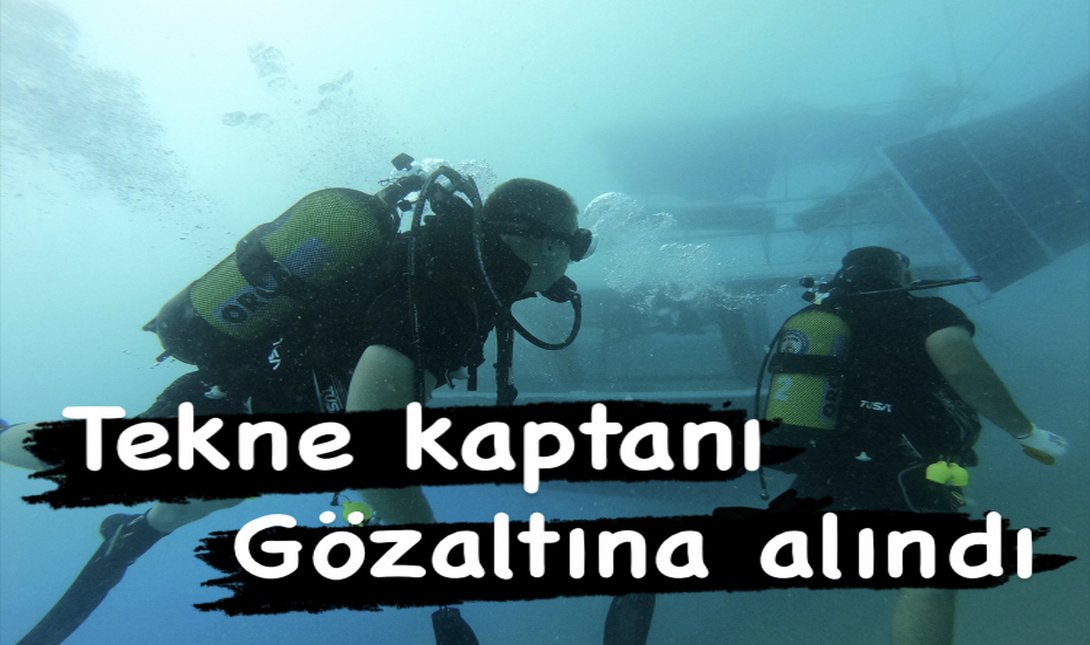 6ECA9883-18BD-48A7-BEFD-D8B2D0047721