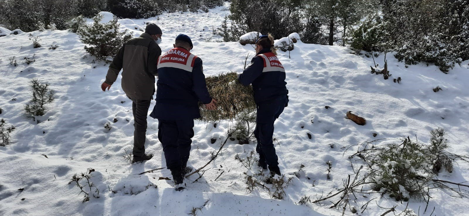JANDARMA YABAN HAYVANLARI UNUTMADI