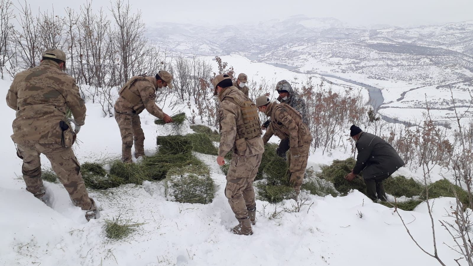 JANDARMA EKİPLERİ SOKAK VE YABAN HAYVANLARINI UNUTMADI