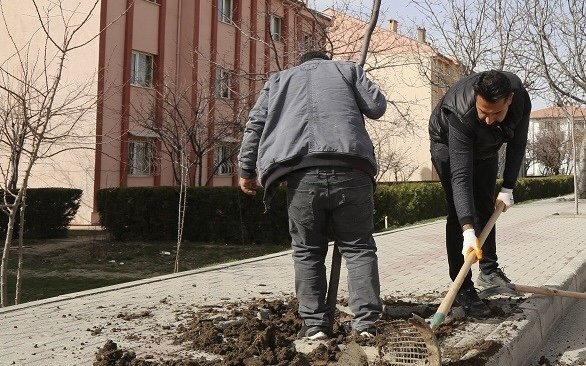 CADDE VE KALDIRIMLARA FARKLI TÜRLERDE 200 ADET AĞAÇ DİKİLDİ