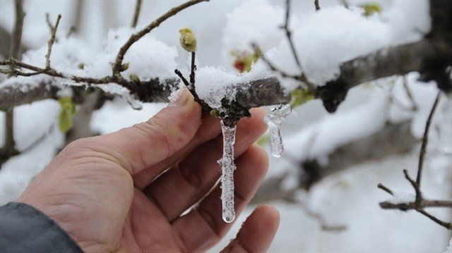 METEOROLOJİDEN ZİRAİ DON VE KIRAĞI UYARISI