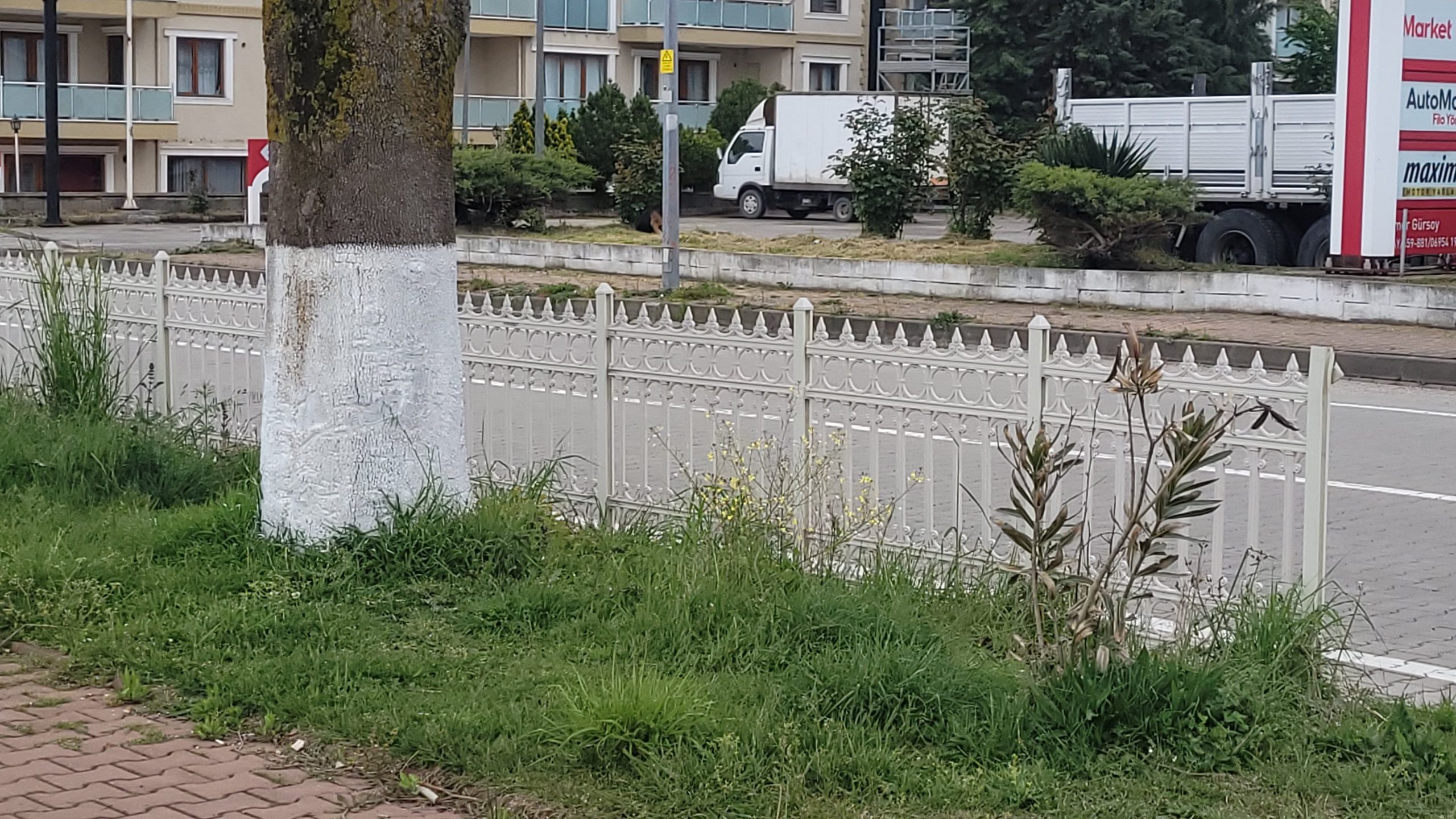 TARTIŞTIĞI ŞAHSI POMPALI TÜFEKLE YARALADI