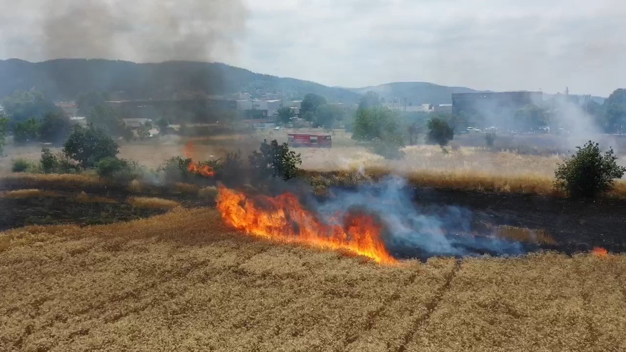 BURSA'DA BUĞDAY TARLASI ALEV ALEV YANDI