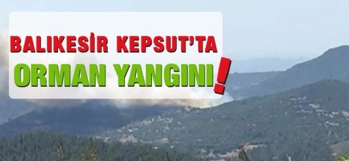 Screenshot_20220717-163942_Facebook~2