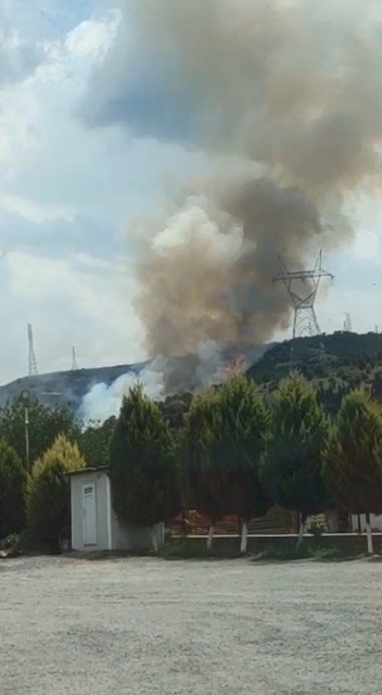 KOCAELİ'DE ORMANLIK ALANDA YANGIN ÇIKTI