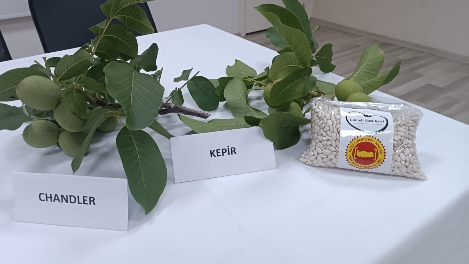ÇAMELİ'NDE CEVİZ VE FASULYE FİYATLARI BELLİ OLDU