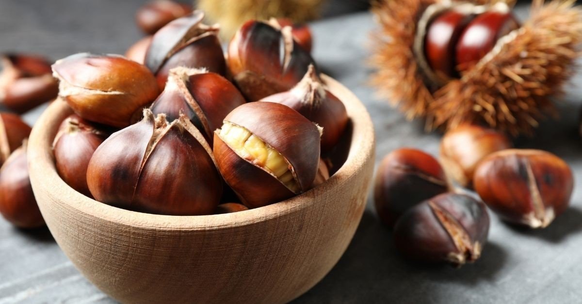 ERZİNCAN'DA KIŞIN HABERCİSİ KESTANECİLER OCAKLARINI YAKTI