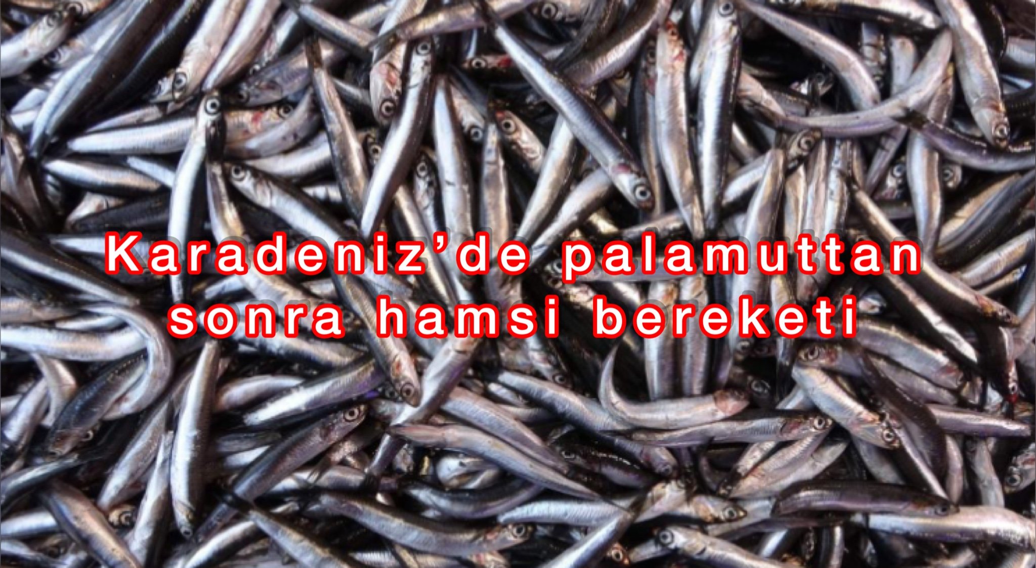 0D3F0CF3-7897-4031-B41E-45D39763FD51