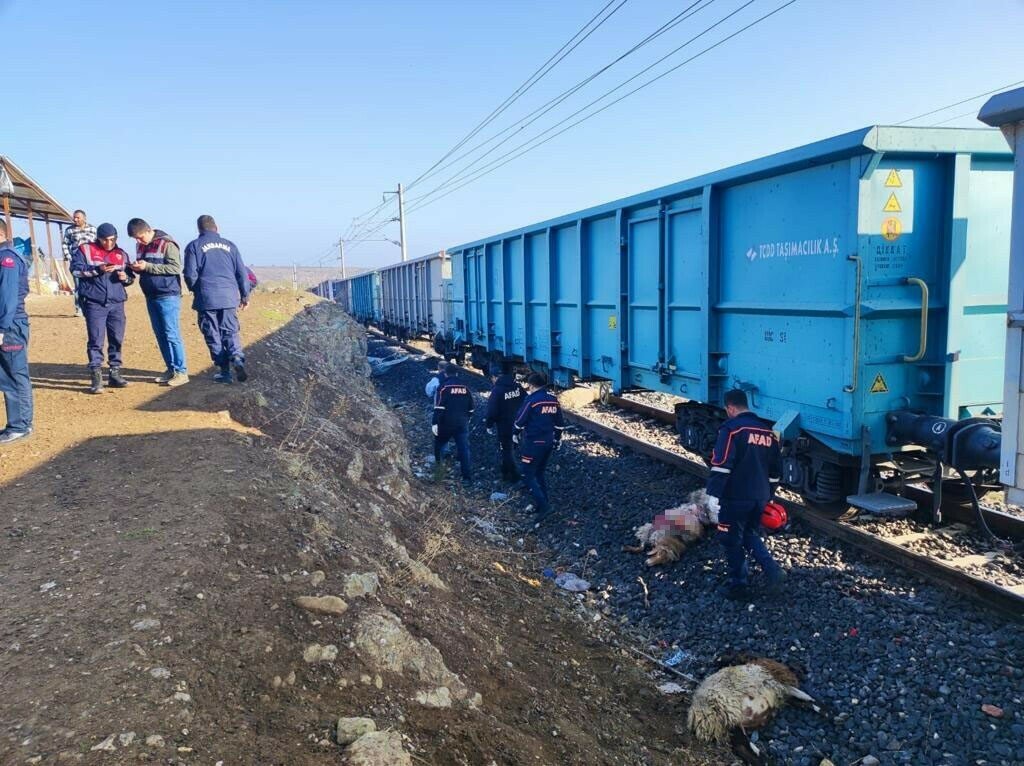 YÜK TRENİ SÜRÜYE ÇARPTI: ÇOBAN ÖLDÜ, 30 KOYUN TELEF OLDU