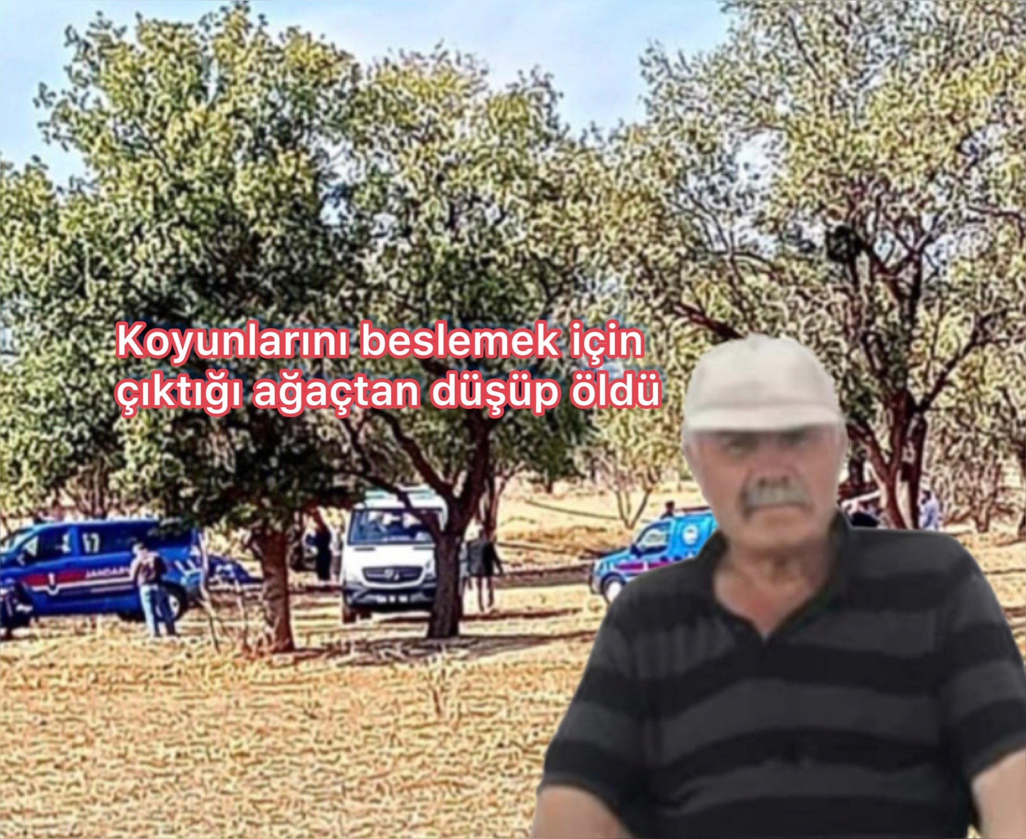 A0598F66-6108-4346-B1D7-928D6A492302
