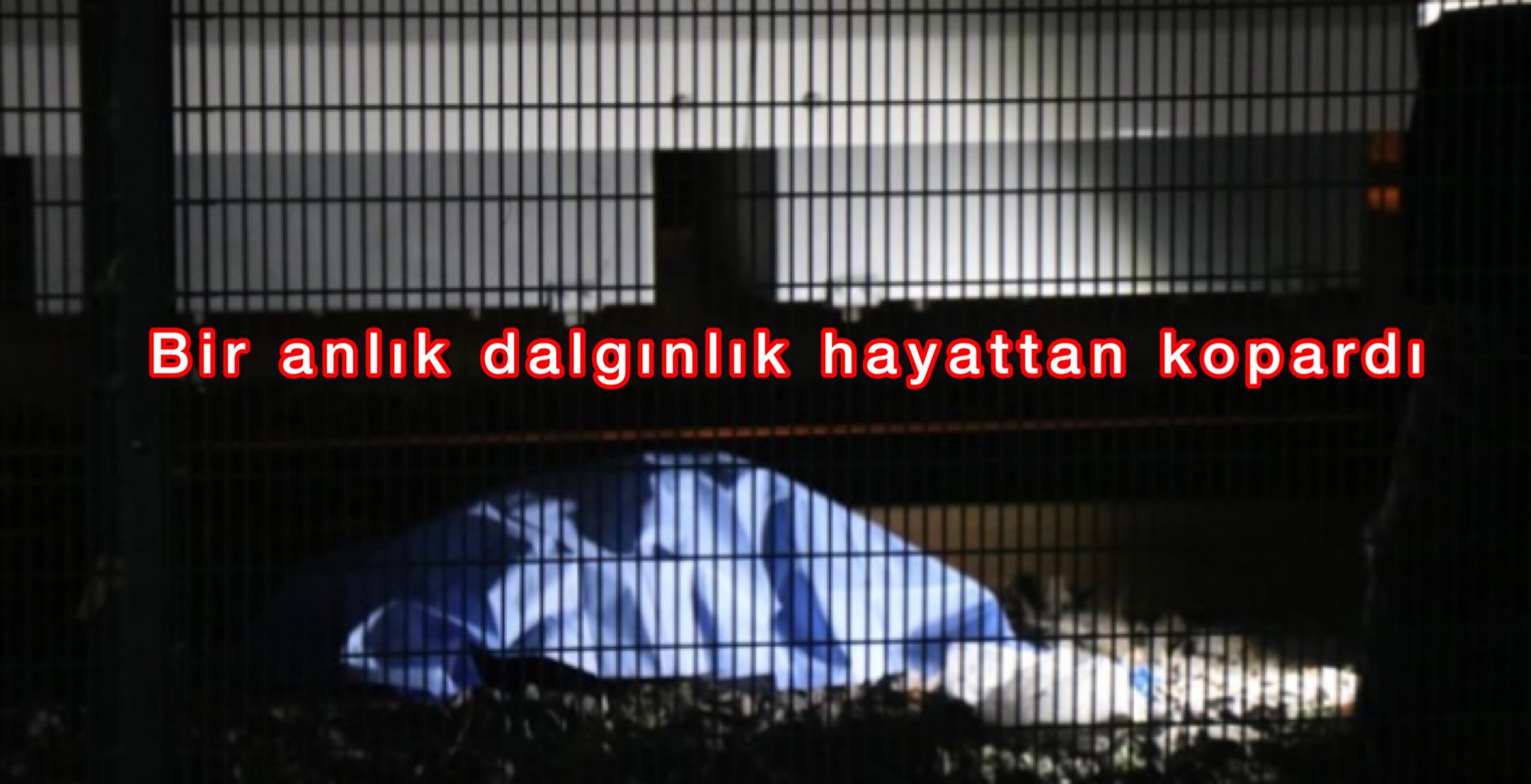 E9129A9A-399E-4A91-B70D-0DA0497E03F5