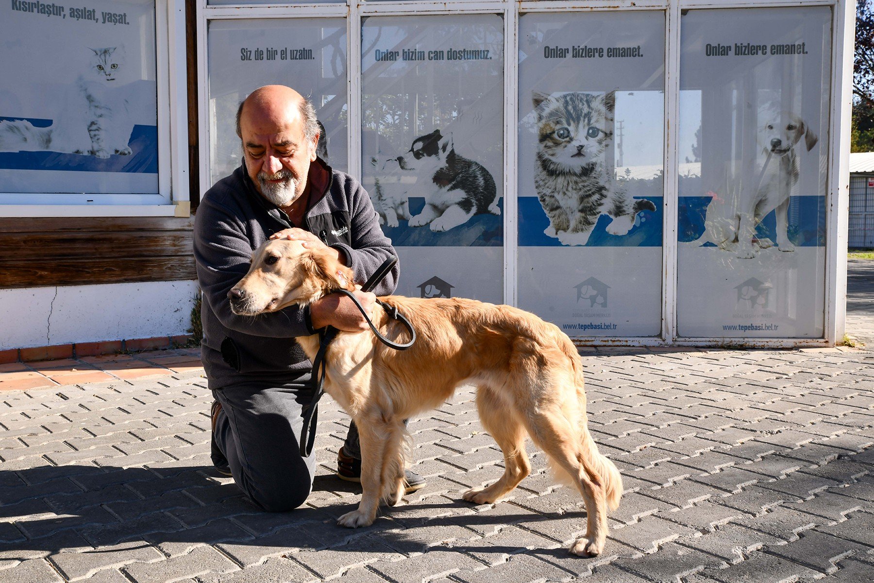 503 CANIN DAHA SICAK BİR YUVASI OLDU