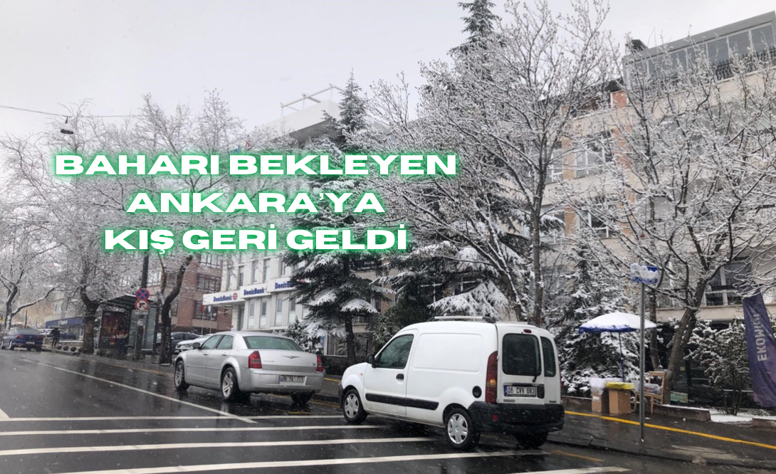 A39D6055-FBD0-4F31-ADE9-AFF7EF5ECAFF