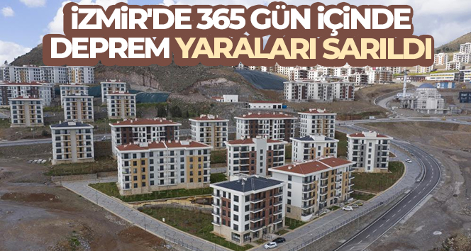 5496404