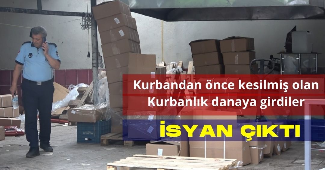 YEDİ KITADA HABER - 1