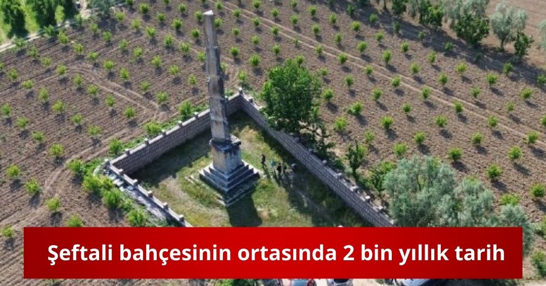 YEDİ KITADA HABER - 1