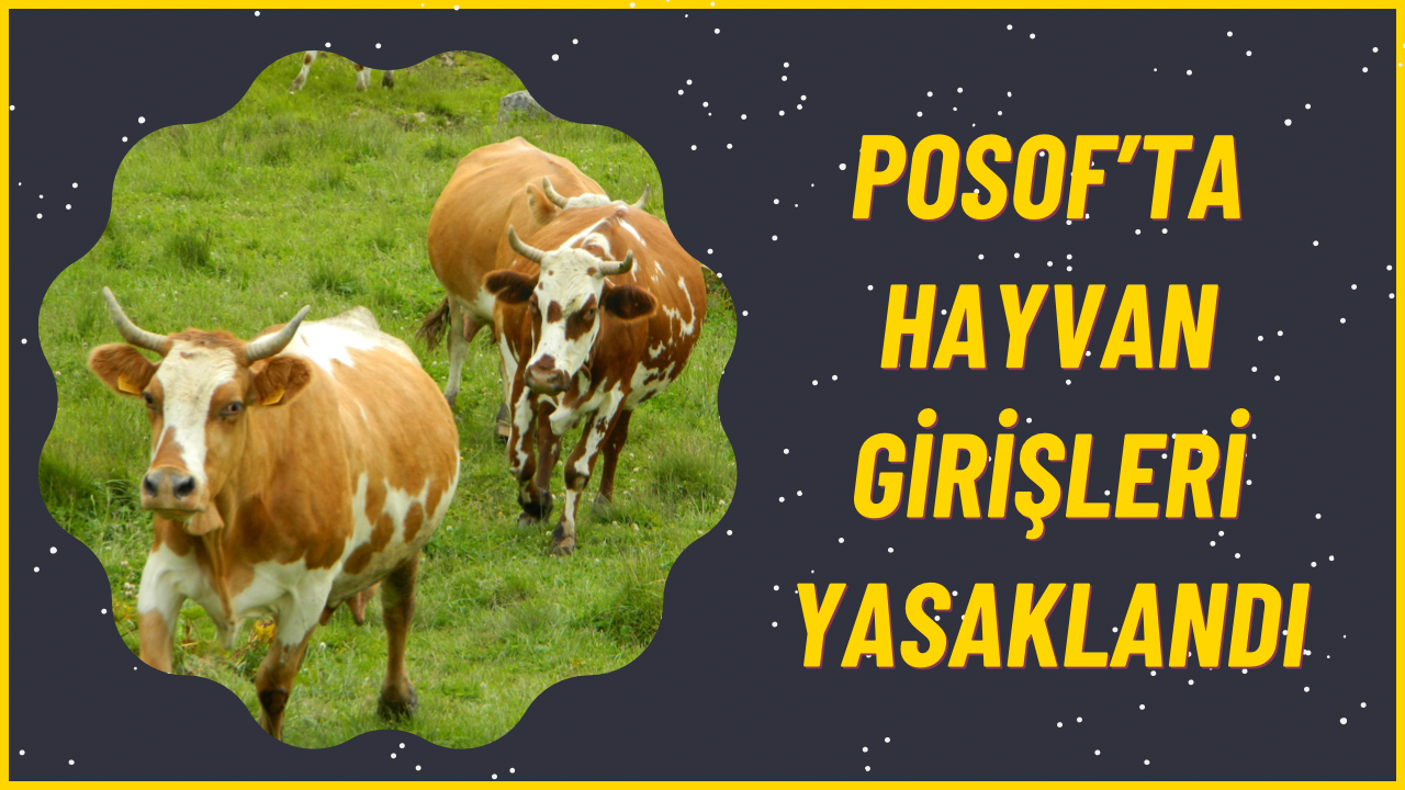 038AD157-2241-40E8-8316-83895D2CACCD