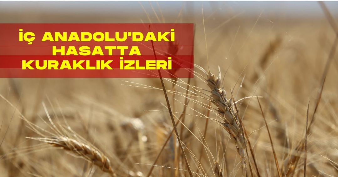YEDİ KITADA HABER - 1