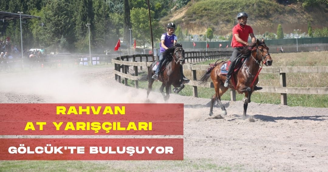 YEDİ KITADA HABER - 1