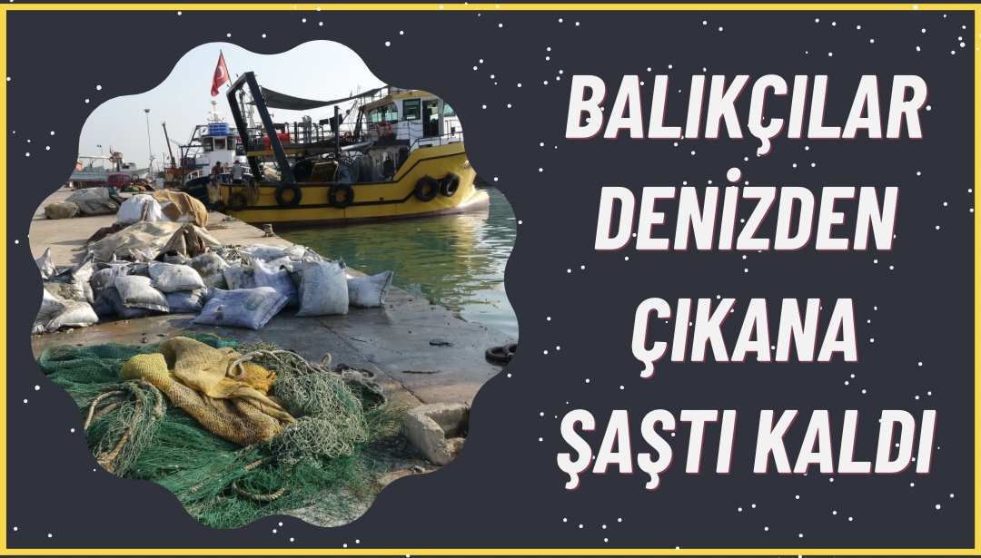 48B8F7D6-42C8-4FCC-AD77-9BEE7AC87F0F