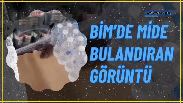 719021E6-1412-430B-BDE3-EA6D81976A08