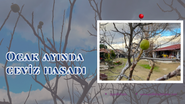 2C9E9A43-A421-4CCC-AED8-4D6382865ED9