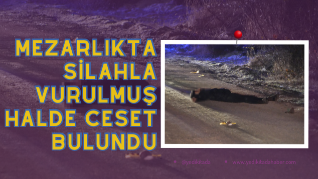 FB3945B0-B204-4312-8C46-A2144036D0ED