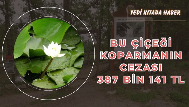 5D659FAA-88E1-4E1E-B463-EE5996F84CC5