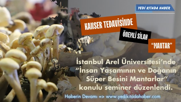 Beyaz Modern Seyahat Instagram Gönderisi