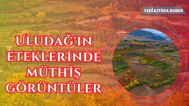 Yeşil Minimalist & Modern Mimari Sunum (634 x 358 piksel) (634 x 358 piksel) - 1