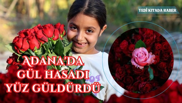 Yeşil Minimalist & Modern Mimari Sunum (634 x 358 piksel) (634 x 358 piksel)