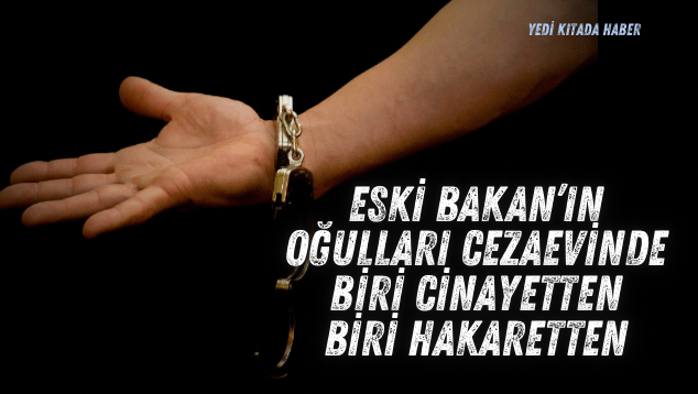 Sade Renklerde Minimalist Dikkat Çekici Kalorifer Peteği Temizlik Tanıtım Instagram Hikayesi