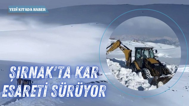 Yeşil Minimalist & Modern Mimari Sunum (634 x 358 piksel) (634 x 358 piksel)