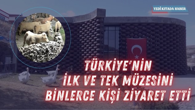 Peygambere Hakaret Eden Kadın AK Partililere Ölüm Çağrısı cd