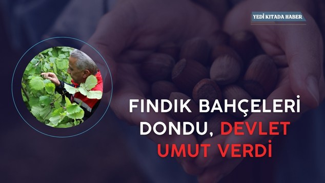Yeşil Minimalist & Modern Mimari Sunum (634 x 358 piksel) (634 x 358 piksel) (İnstagram Gönderisi)fndk