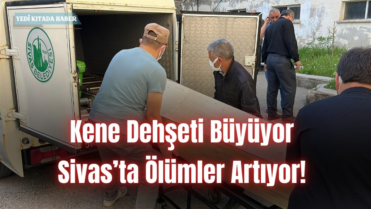 Kene Dehşeti Büyüyor: Sivas’ta Ölümler Artıyor!