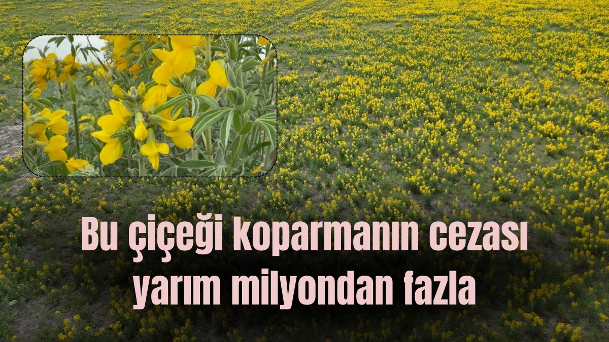 FESİH KARARI SONRASI İLK AÇIKLAMALARxz