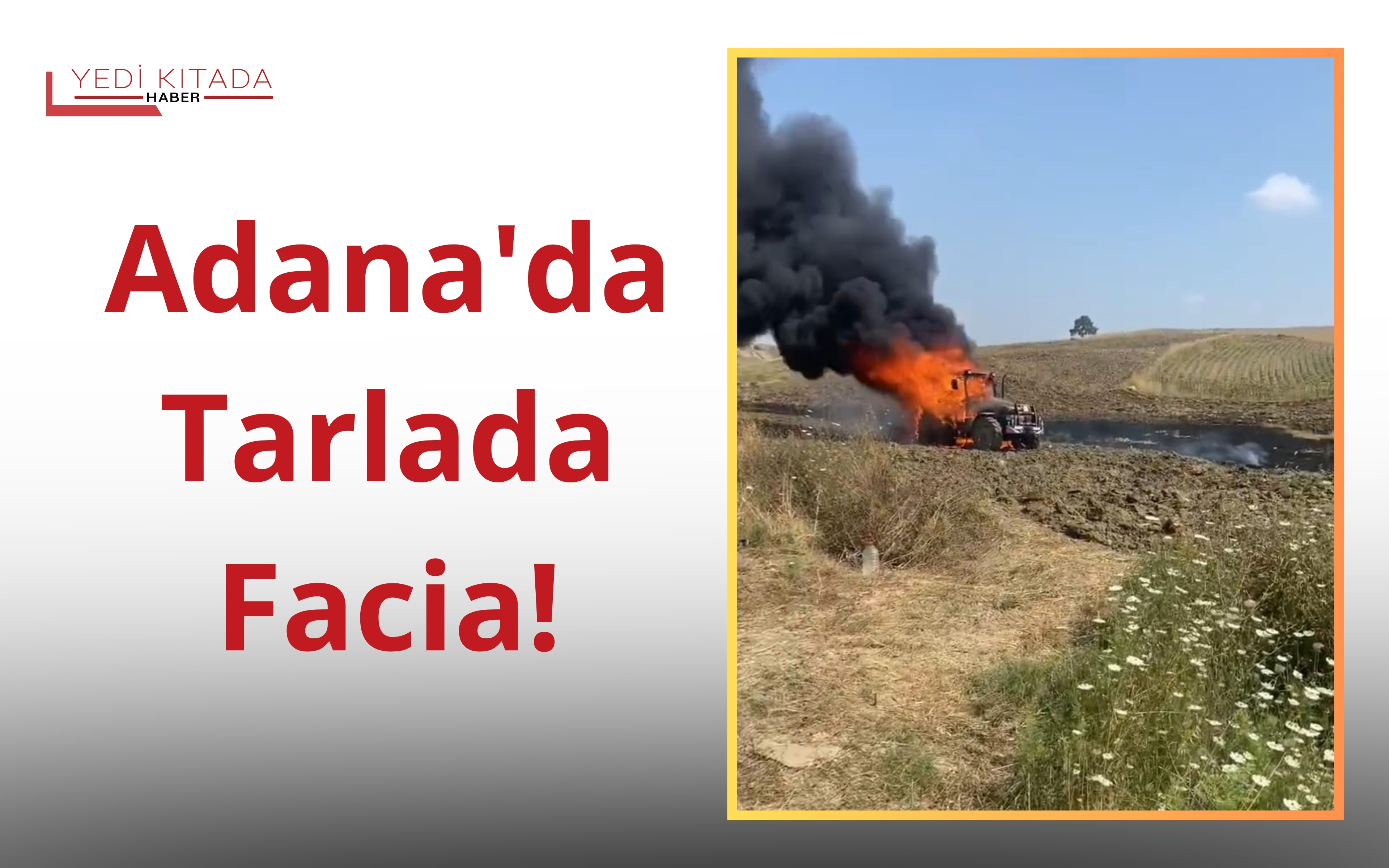 Adana’da Tarlada Facia!