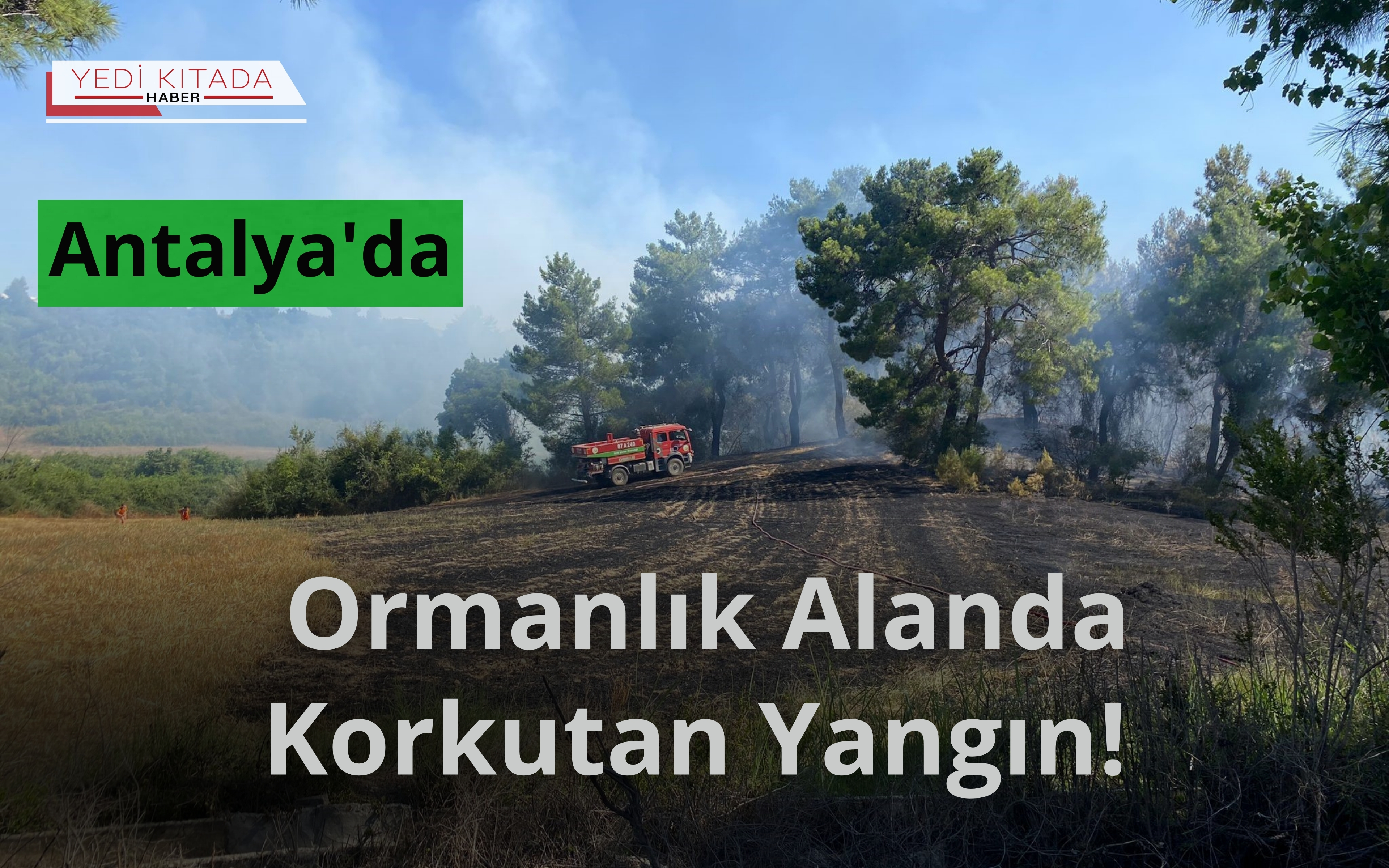 Antalya’da Ormanlık Alanda Korkutan Yangın!