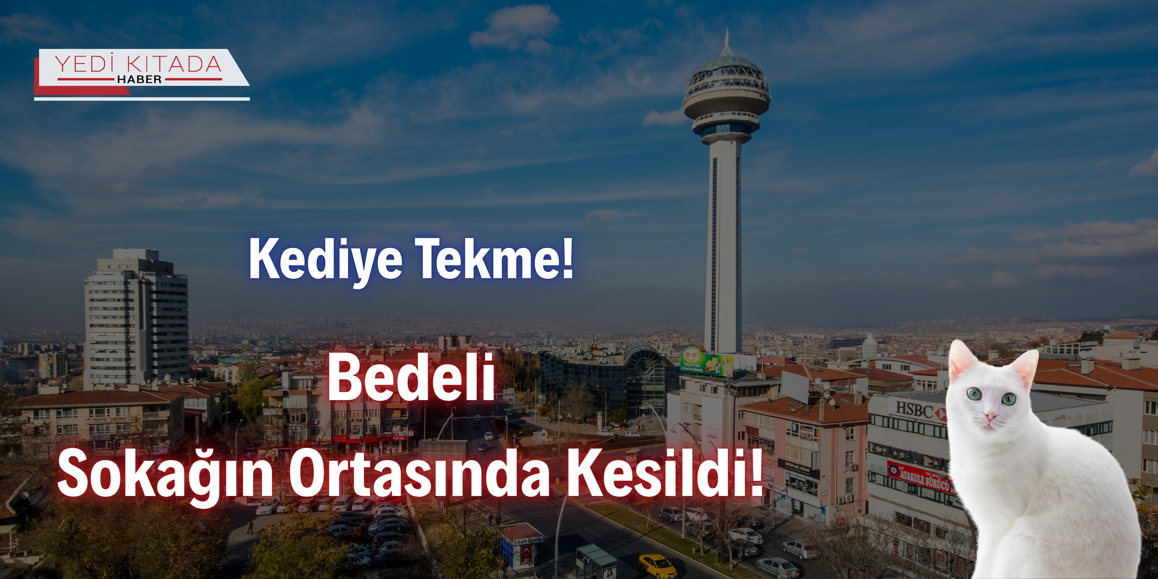 KEDİYE Tekme! Bedeli Sokağın Ortasında Kesildi!