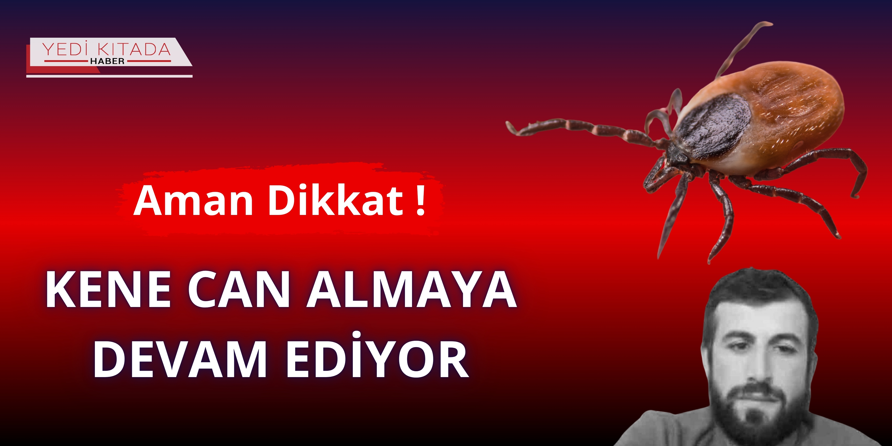 Kene Can Almaya Devam Ediyor