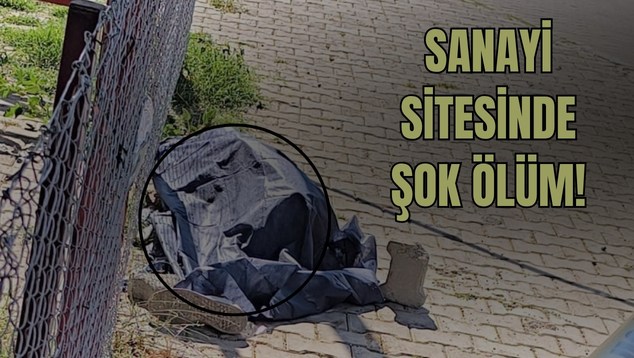 Sanayi Sitesinde Şok Ölüm!