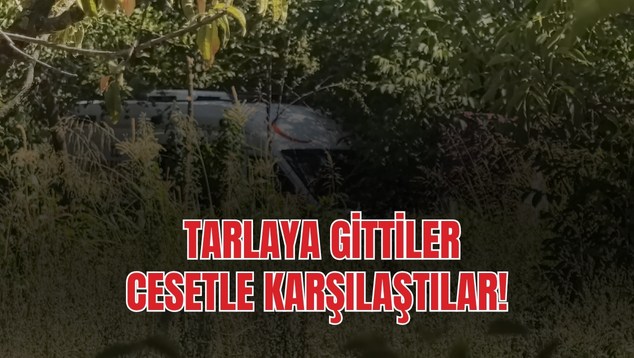 Tarlaya Gittiler, Cesetle Karşılaştılar!