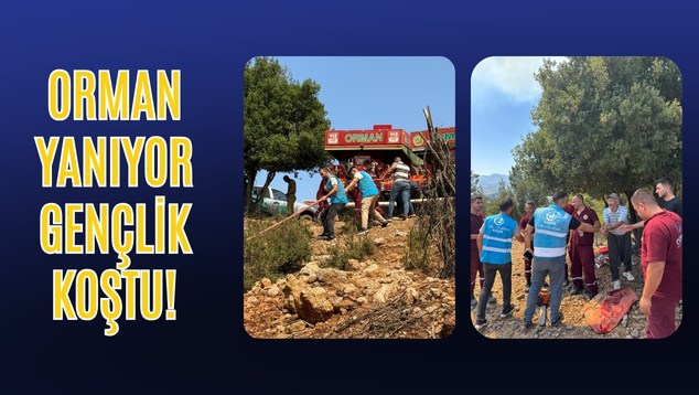 Orman Yanıyor, Gençlik Koştu!
