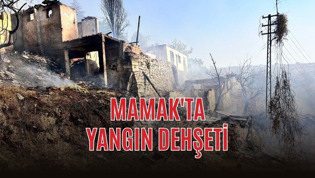 Mor ve Yeşil Renkli Kurumsal Terfi Kutlama Tebrik Kartı