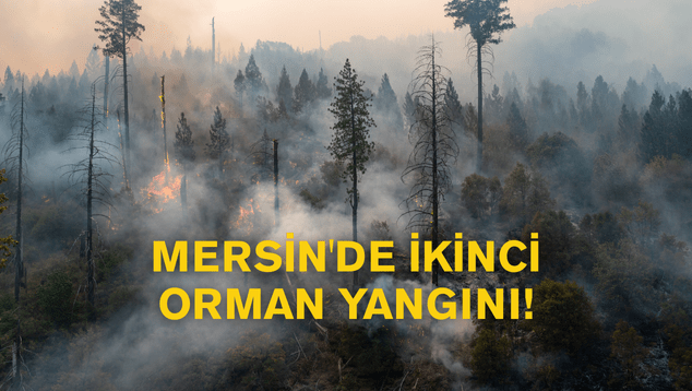 www.yedikitadahaber.com (634 x 358 piksel)