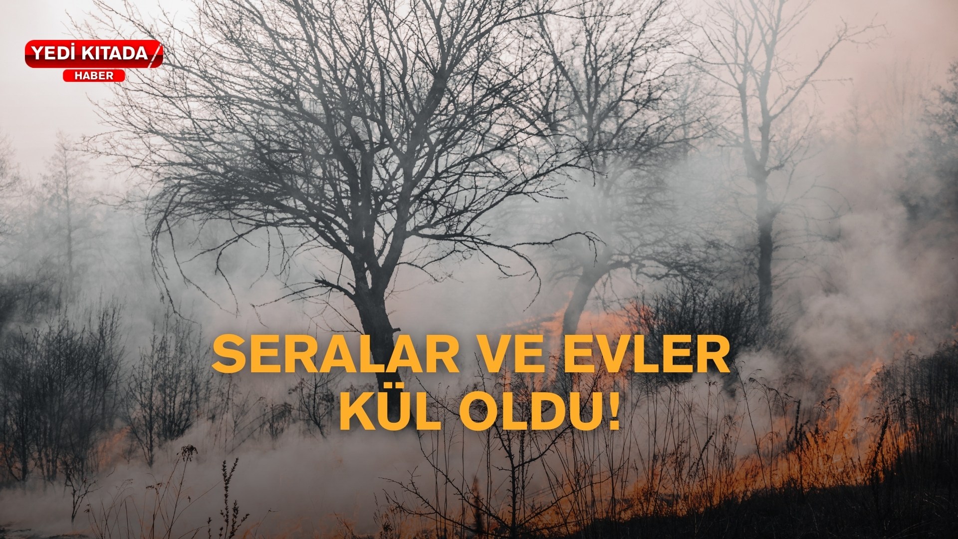 Lacivert Turkuaz Beyaz Modern Özel Okul Kolej Tanıtımı Müşteri Sunum