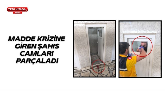 Sarı, Kırmızı ve Beyaz, Modern ve Animasyonlu, Aslan Maskotlu Futbol Takımı Şampiyonluk Haberi, Instagram Gönderisi